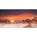 AWERT 48x24 inches Sun and Desert Terrarium Background Orange Reptile Habitat Background Durable Polyester Background - size: 48x24in/120x60cm
