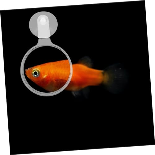 Aquarium Glass Cup Multifunctional Viewer for Small Fish Plants and -Landscapes for Detailed Observation Fish Tanks