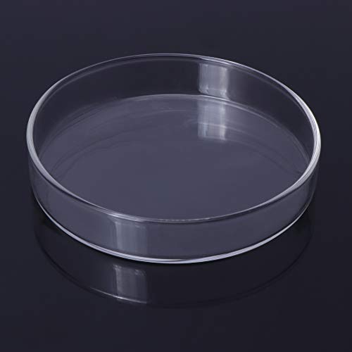 Shrimp Feeding Dish Clear Glass Bowls 3.9" 5" 2" 2.4" Round Tray Fish Tanks Aquarium Feeders Food B Cup Dish - size: XL