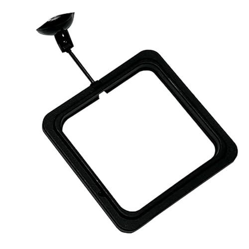5PCS Fish Feeder Floating Square Suction Cup Feeding Ring Plastic and Rubber 3.15x3.15 Inches for Aquarium Accessories Black