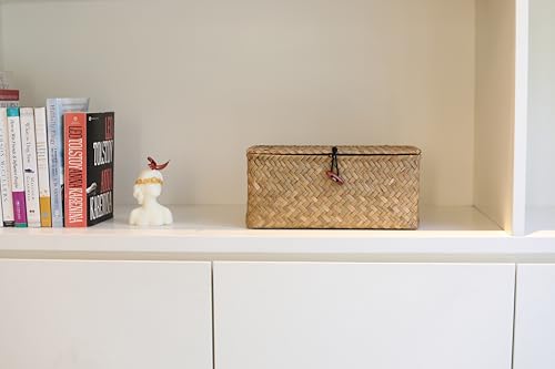 DOKOT Rectangular Handwoven Seagrass Small Storage Basket with Lid for Shelves and Home Organizer Bins,S (10.2"x5.5"x4.3"H), Natural - size: S (10.2"x5.5"x4.3"H)