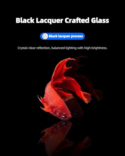 2.5 Gallon Clear Glass Fish Tank, Small Fish Tank Aquarium for Betta, Goldfish, Snail,Shrimp and Aquatic Planting - color: Black, size: 2.5 Gallon