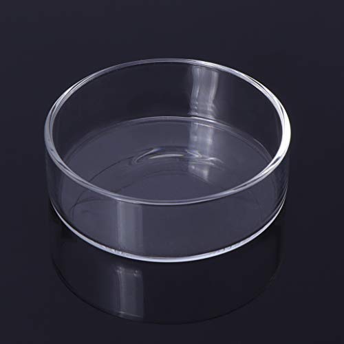 Shrimp Feeding Dish Clear Glass Bowls 3.9" 5" 2" 2.4" Round Tray Fish Tanks Aquarium Feeders Food B Cup Dish - size: S