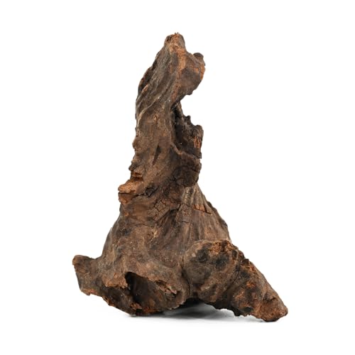 Natural Driftwood Spider Wood Branches Fish Tank and Reptile Terrarium Decor Assorted Sizes for Aquariums and Lizard Habitats (14-17 inch (Pack of 1), Mopani Driftwood)