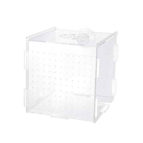 FRCOLOR Modern Fish Tank Isolation Box Clear Aquarium Breeding Box Suction Cup Ideal for Guppies and Betta