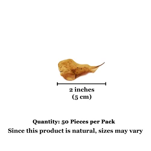 SunGrow 50 Pcs Mini Catappa Indian Almond Leaves for Shrimp Aquariums, Lowers Your Tank's pH and Pet Stress, Creates Better Environment, Unique Practical Decor