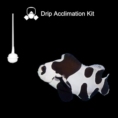 Bubble Magus Drip Acclimation Kit for Saltwater and Freshwater Aquariums, Fish Tanks, Ensure Smooth Transition for Coral, Shrimp, Marine Fish, Navigation System Live Koi Fish, Plant Decor Security