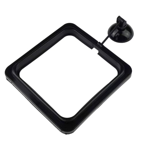 5PCS Fish Feeder Floating Square Suction Cup Feeding Ring Plastic and Rubber 3.15x3.15 Inches for Aquarium Accessories Black