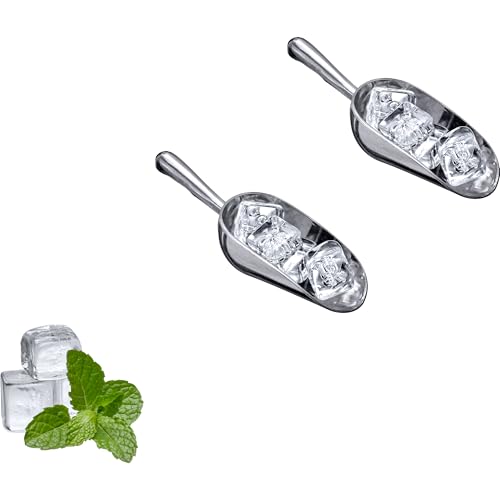 Amazing Abby - Elsa - 5-Ounce Aluminum Ice Scoops (Set of 2), Cast Aluminum Utility Scoops, Food-Grade, Good for Home and Commercial Use, NOT Dishwasher-Safe, Hand-Wash Recommended
