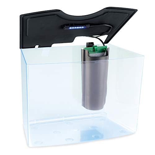 GloFish Crescent aquarium Kit 3 Gallons, Includes Hidden Blue LED Light And Internal Filter - size: 3-Gallon