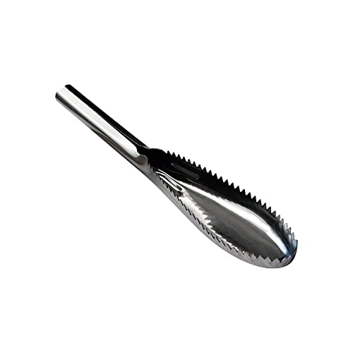 Fish Scaler, 304 Stainless Steel Fish Scaler Remover, Sawtooth Fish Descaler Tool for Family Kitchen, Seafood Markets