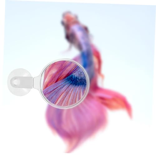 Toyvian Aquarium Glass Cup for Detailed Observation of Fish Plants and Small Animals for Betta Fish and Landscapes
