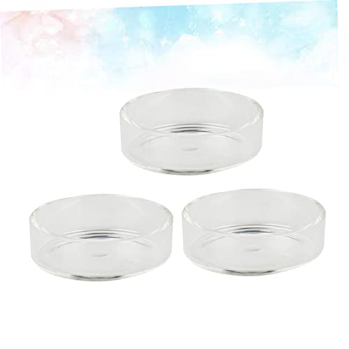 Kisangel 3pcs Round Glass Shrimp Feeding Dish Crystal Shrimp Food Basin for Aquarium Durable Feeder Bowl for Fish and Reptiles Tank Ornament and Supplies - size: Size 1