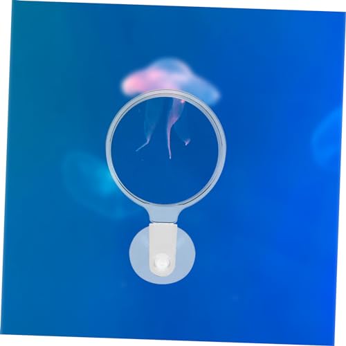 DECHOUS Aquarium Glass Cup for Detailed Observation of Small Animals and Plants Fish Tanks Easy to Install for Betta Fish Landscapes