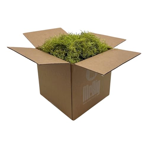 Preserved Spanish Moss - Decorative Dried Moss for Crafts, Home Decor, Art, Design & DIY Projects - for Indoor Use - Chartreuse - Standard Box - Covers 10-12 sq. ft. - color: Chartreuse, size: Large