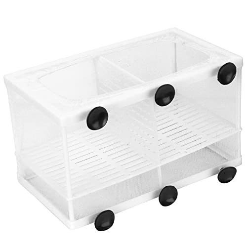 Fish Breeding Aquarium Box, Multifunctional Fish Breeder Box for Small Fish, Large with Partition - size: Large with partition