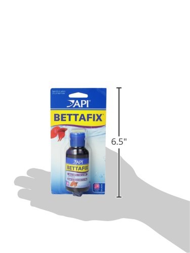 API BETTAFIX Antibacterial & Antifungal Betta Fish Infection and Fungus Remedy 1.7-Ounce Bottle - size: 1.7 Fl Oz (Pack of 1)