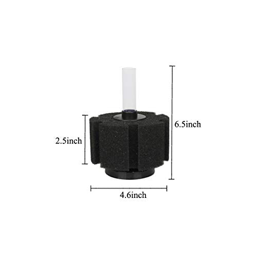ALEGI Aquarium Sponge Filter with Airline Tubing, Check Valves, Suction Cups for 55 Gallon Fish Tank, Betta, Nano, Shrimp, Fry - size: Large up to 55Gal 2 Pcs