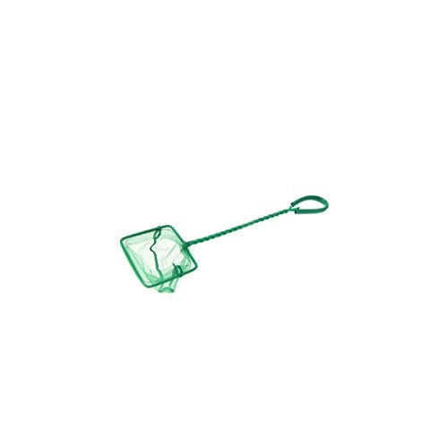 Fish Net for Fishing 3 4 5 6 8 10In Fine Net Aquariums Accessories for Fish and Shrimp Comfort Handle Aquariums Netting
