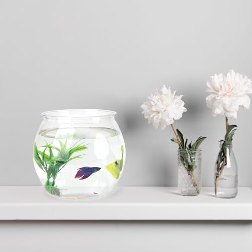 1 Gallon PET Aquaponic Fish Tank, Fish Bowl Aquaponic Betta Fish Tank Clear Aquarium for Betta Fish Reptiles Succulents Flower Vase Betta Fish Centerpiece Present for Home Office Desktop Decors - size: 1 Gallon