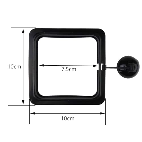 5PCS Fish Feeder Floating Square Suction Cup Feeding Ring Plastic and Rubber 3.15x3.15 Inches for Aquarium Accessories Black