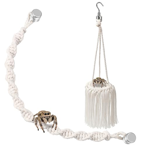 Jumping Spider Accessories – 2 Pack Handmade Natural Jute Rope Bridge Swings, Magnetic Mount Jumping Spider Enclosure Decor for Medium Enclosures