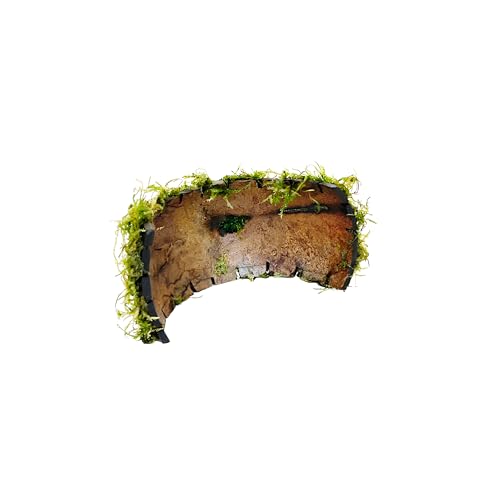 Java Moss on Coconut Shell Driftwood Bridge Live Aquatic Plant for Freshwater Fish Tank Decoration