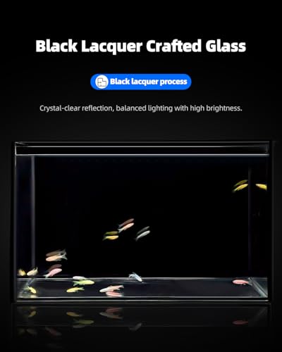 5 Gallon Fish Tank 4.8 Gallon, Small Aquarium Fish Bowl Ultra Clear Rimless Design for Betta Goldfish Snails Shrimp Aquatic Planting - color: Black, size: 4.8 Gallon