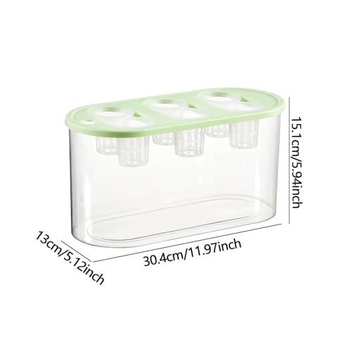 Hydroponic, Hydroponic System, Planting Container, 6 Holes, Indoor Tabletop Mini Aquarium for Plants and Fish, Green - color: Green