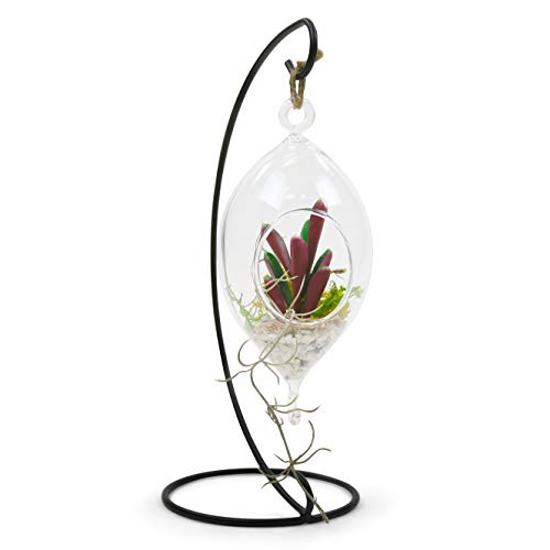 WGV Hanging Terrarium, Width 3.5", Height 7", Oblong, Double Hook, DIY Air Succulent Planter, Clear Glass Vase Orb, Candle Holder for Windowsill Outdoor Garden Decor, 6 Pieces Bulk - size: 7" Oblong Double Hook