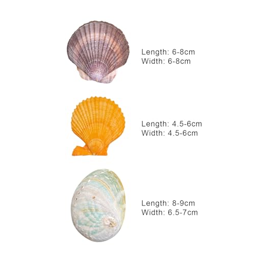Natural Seashell Aquarium Decor with Suction Cups Fish Tank Hideaway for Betta, Shrimp, Cichlids, Safe Ornament for Freshwater & Saltwater Tanks