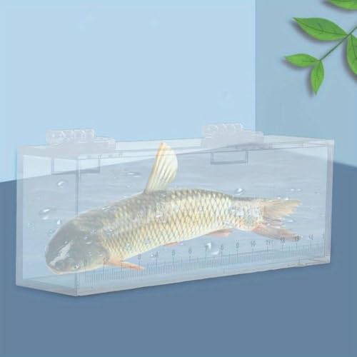 Fish Viewing Box Acrylic Outdoor Indoor Micro Landscape Fish Tanks Fishing Photo Tank Fish Breeding Tanks Photo Box with Scale(S) - size: S