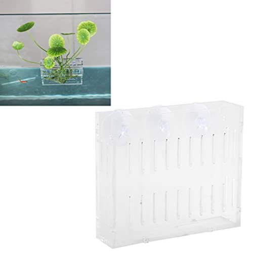 Aquarium Plant Grass Cup Transparent Water Plant Growing Holder, Acrylic Fish Water Plants Planter Grass Container with Suction Cups, Decorative Aquarium Plant Grass Cup