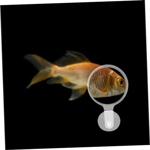 Toddmomy Plant Observation Magnifier Cup Glass for Aquariums for Landscapes Small Animals and Detailed Plant Viewing