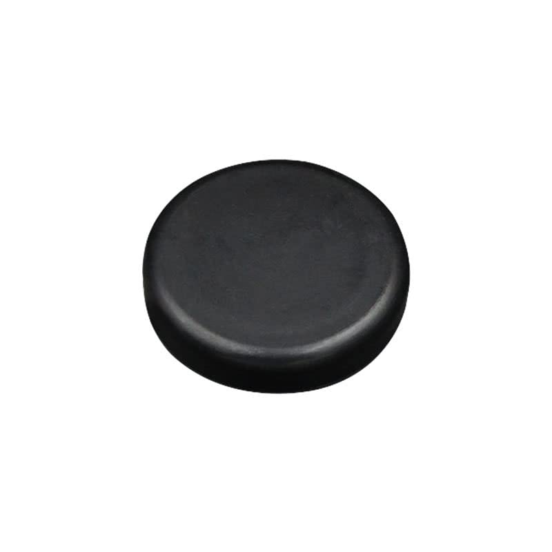n52 Heavy Duty Aquarium Magnet, Strong Neodymium Waterproof Magnets with Plastic-Coated, Rare Earth Magnets for Fish Tank Breeder or DIY Cleaning Brush - color: 2 pcs big