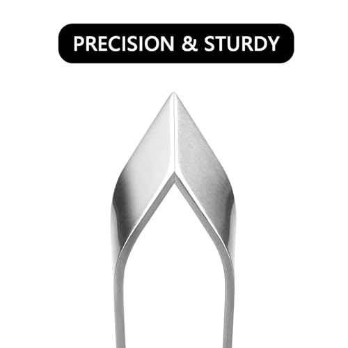 2 Pcs Fish Tweezer 2 Pcs Fish Scale Remover, Fishbone Tweezers Descaler Cleaner Scraper Tool Stainless Stee Pliers