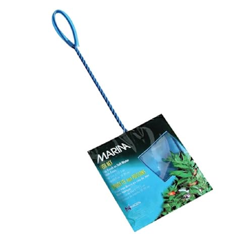 Marina 5-Inch Blue Fine Nylon Net with 10-Inch Handle, Aquarium Maintenance Tool, Blue, 11275 - size: Medium - 5"