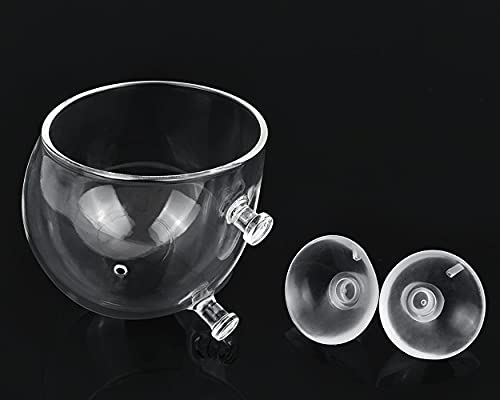 DS. DISTINCTIVE STYLE Aquatic Plant Cups 2 Pieces Crystal Glass Plant Pot with 2 Suction Cups for Aquarium Decoration