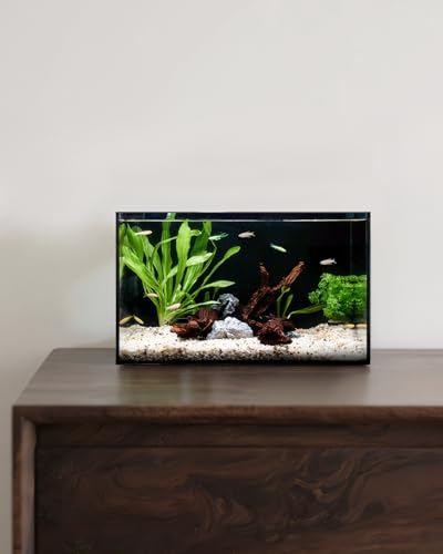 5 Gallon Clear Glass Fish Tank, Easy to Maintain Small Aquariumfor Betta, Goldfish, Snail,Shrimp and Aquatic Planting - color: Black, size: 5 Gallon