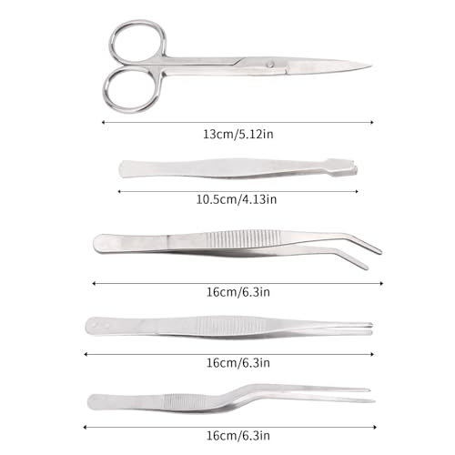 5pcs Plant Tweezers and Scissors, Long Stainless Steel Garden Bend Tongs Set with Straight Curved Flat Point Tip Multiple-Use Gardening Tools for Bonsai Reptile Feeding Kitchen Use - style: B