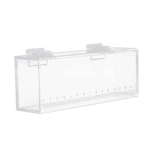 Gazechimp Fishing Photo Tank Fish Viewing Box Acrylic Hatching Incubator Clear Micro Landscape Fish Tank Fish Breeder Isolation Breeder Box with Scale, L
