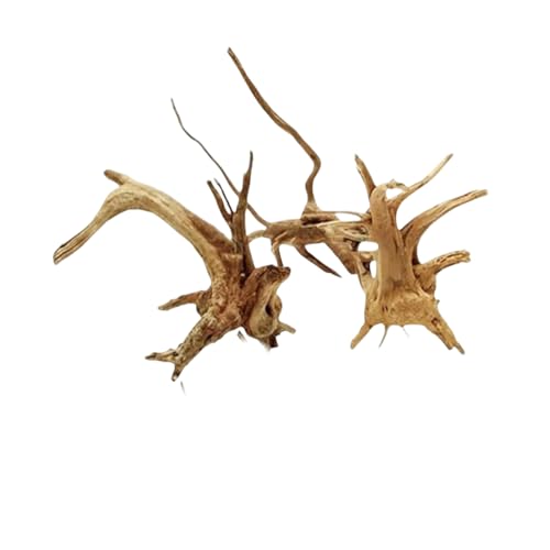 2Pcs Aquarium Driftwood Branches Natural Wood Reptiles Trunk Wood Fish Tank Decoration Plant Stump Ornament Landscaping, Fish Tank Decoration, 8-10cm