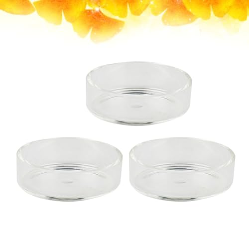 3pcs Round Shrimp Food Glass Bowl Crystal Shrimp Feeding Bowl for Aquarium Feed Dish Feeder for Supplies - size: Size 1