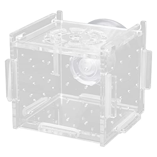 Acrylic Fish Isolation Box Aquarium Hatchery with Feeding Hole for Baby Fish Shrimp Breeding (Single Grid mini 6 * 6*)