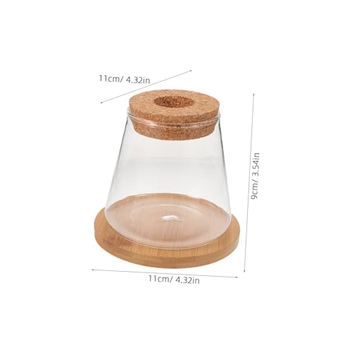 Happyyami 1set Desktop Fish Bowl Lid Glass Small Fish Tank for Betta Elegant Hydroponic Vase Mat Table Adornment for Home
