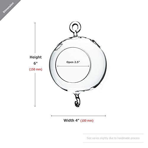 WGV Hanging Terrarium Globe, Width 4", Height 6", Double Hook, DIY Air Succulent Planter, Clear Glass Vase Orb, Candle Holder for Windowsill Outdoor Garden Decor, 6 Pieces Bulk - size: 4" Double Hook