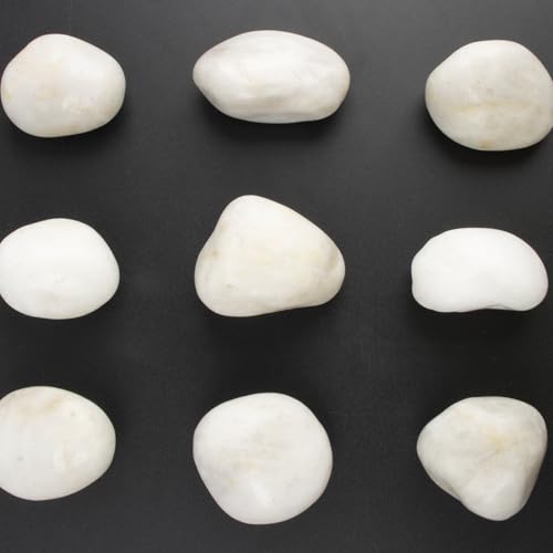 River Rocks - Natural Polished White Pebbles, 2-3 inches, 10 lbs - Ideal for Patio Landscaping, Rock Gardens, Succulent Arrangements, and Pathway Edging (White, Weight: 10 LB) - color: White, size: Weight: 10 LB