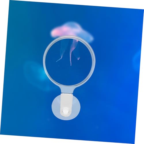 Beaupretty 4pcs Acrylic Glass with Cup for Fish Tank for Betta Fish Microlandscapes Spiders Animals Observation