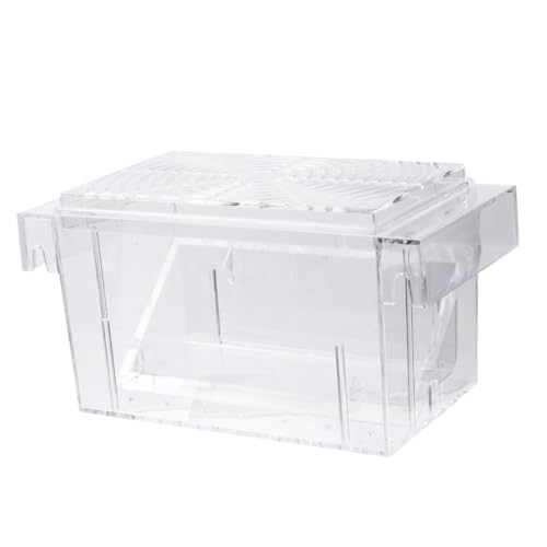 jojofuny Aquarium Breeding Tank Fish Isolation Box Acrylic Fish Hatching Incubator for Guppy and Betta Suitable for Home and Tank Breeders