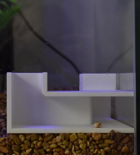 Chatelet Aquarium Underground Tunnel | Fish & Shrimp Hideout for Aquariums | Unique Underground Viewing Tunnel | Made in USA (Corner Tunnel, White) - color: Corner Tunnel, White